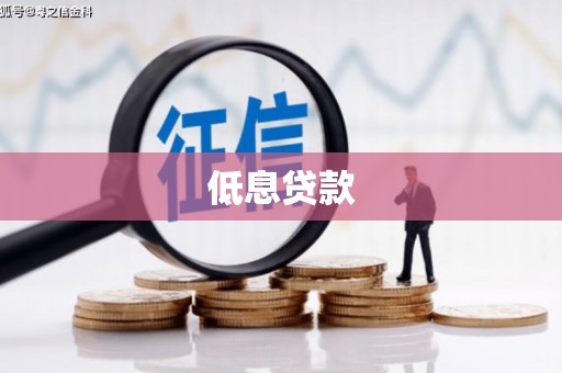 苏尼特右旗低息贷款