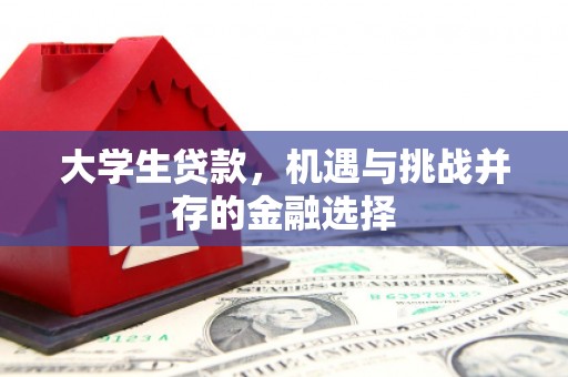 苏尼特右旗大学生贷款，机遇与挑战并存的金融选择
