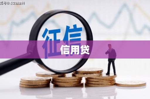 苏尼特右旗信用贷