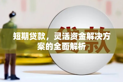 苏尼特右旗短期贷款，灵活资金解决方案的全面解析
