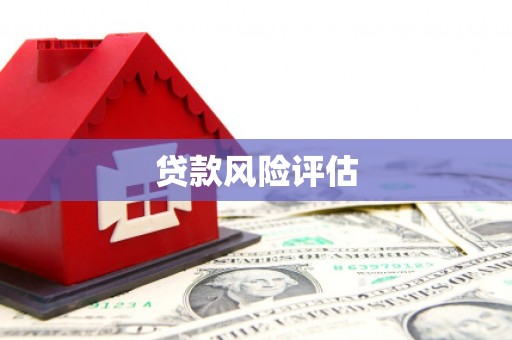 苏尼特右旗贷款风险评估