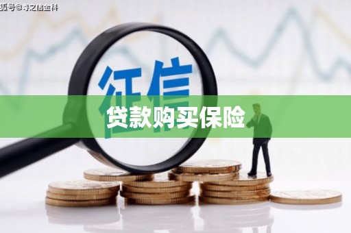 苏尼特右旗贷款购买保险
