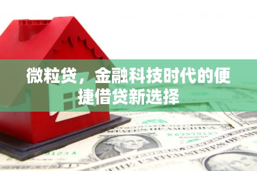 苏尼特右旗微粒贷，金融科技时代的便捷借贷新选择