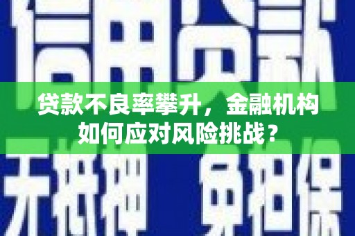 苏尼特右旗贷款不良率攀升，金融机构如何应对风险挑战？