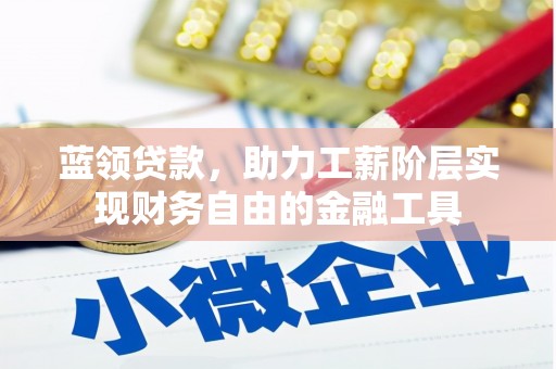 苏尼特右旗蓝领贷款，助力工薪阶层实现财务自由的金融工具