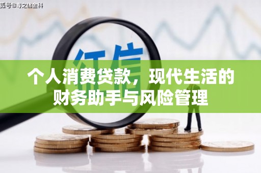 苏尼特右旗个人消费贷款，现代生活的财务助手与风险管理