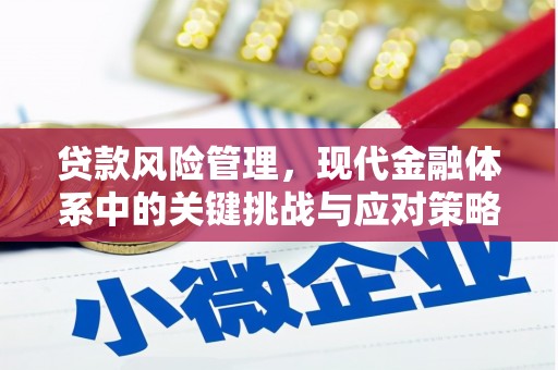 苏尼特右旗贷款风险管理，现代金融体系中的关键挑战与应对策略