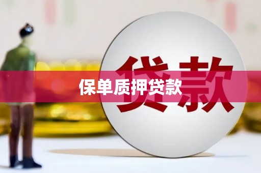 苏尼特右旗保单质押贷款