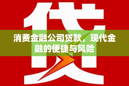 苏尼特右旗消费金融公司贷款，现代金融的便捷与风险