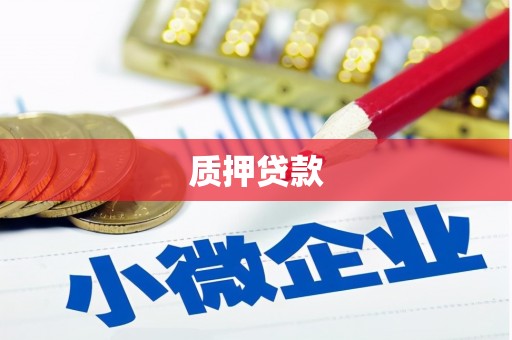 苏尼特右旗质押贷款