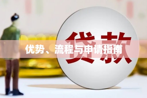 苏尼特右旗优势、流程与申请指南