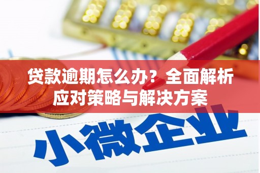 苏尼特右旗贷款逾期怎么办？全面解析应对策略与解决方案