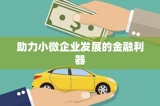 苏尼特右旗助力小微企业发展的金融利器