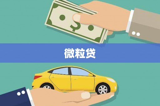 苏尼特右旗微粒贷