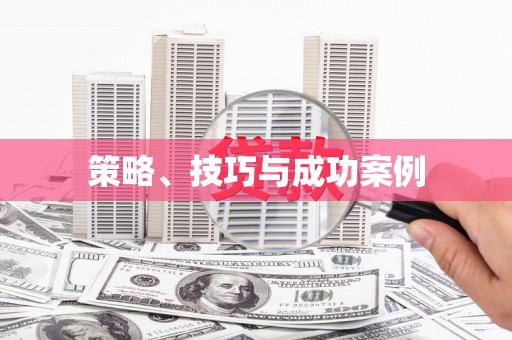 苏尼特右旗策略、技巧与成功案例