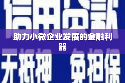 苏尼特右旗助力小微企业发展的金融利器