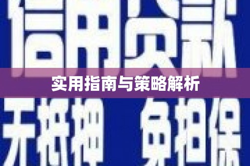 苏尼特右旗实用指南与策略解析