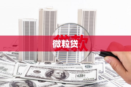 苏尼特右旗微粒贷