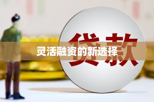 苏尼特右旗灵活融资的新选择