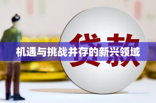 苏尼特右旗机遇与挑战并存的新兴领域