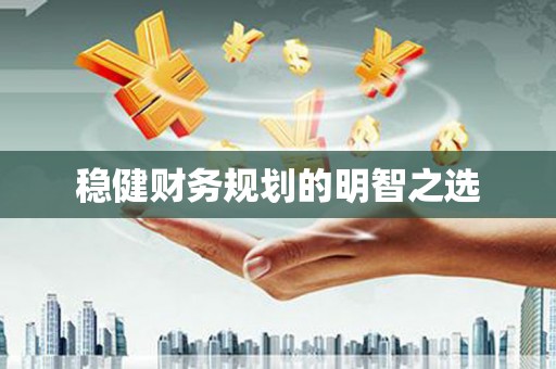 苏尼特右旗稳健财务规划的明智之选
