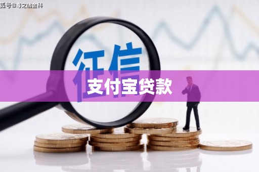 苏尼特右旗支付宝贷款