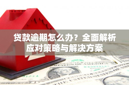 苏尼特右旗贷款逾期怎么办？全面解析应对策略与解决方案