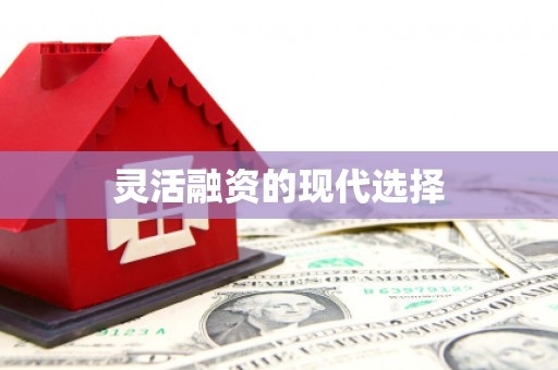 苏尼特右旗灵活融资的现代选择