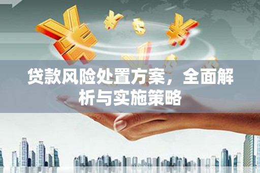 苏尼特右旗贷款风险处置方案，全面解析与实施策略