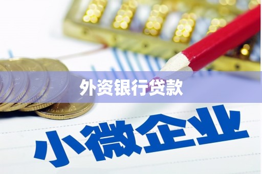 苏尼特右旗外资银行贷款