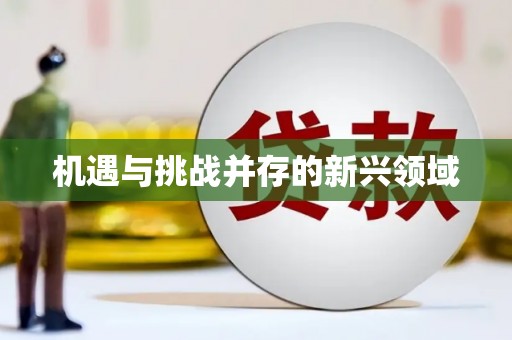 苏尼特右旗机遇与挑战并存的新兴领域