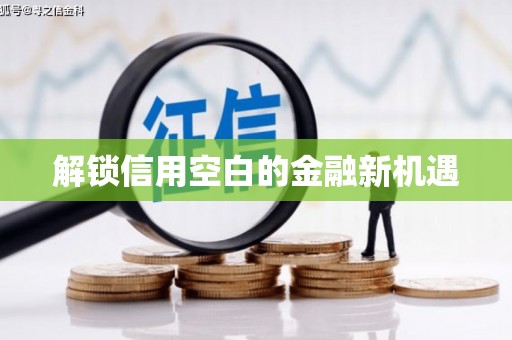 苏尼特右旗解锁信用空白的金融新机遇