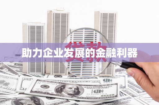 苏尼特右旗助力企业发展的金融利器