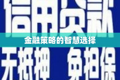 苏尼特右旗金融策略的智慧选择