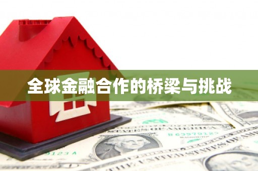 苏尼特右旗全球金融合作的桥梁与挑战