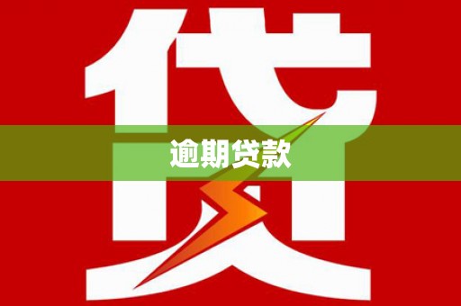 苏尼特右旗逾期贷款