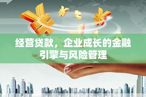 苏尼特右旗经营贷款，企业成长的金融引擎与风险管理