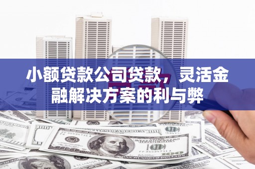 苏尼特右旗小额贷款公司贷款，灵活金融解决方案的利与弊
